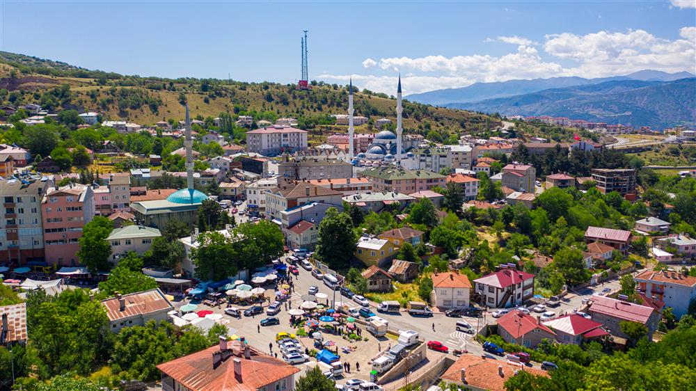 Koyulhisar - Genel Görünüm (7).jpg